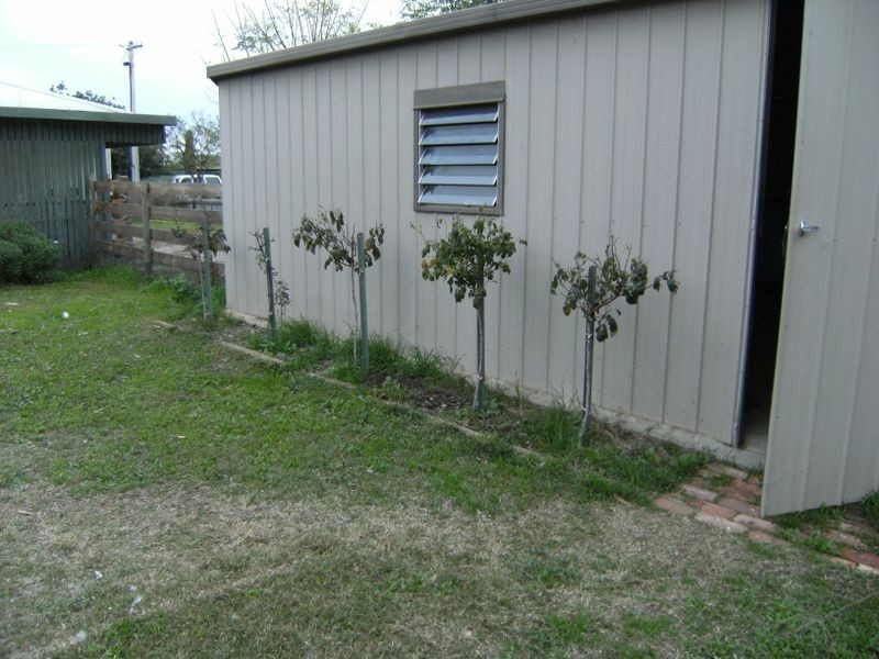 4 Parnee Street, Swan Hill VIC 3585