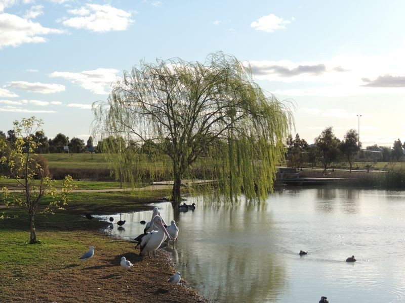 18 Tower Avenue, Swan Hill VIC 3585