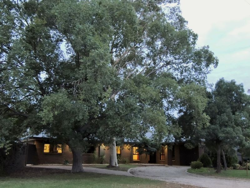 177 Gray Street, Swan Hill VIC 3585