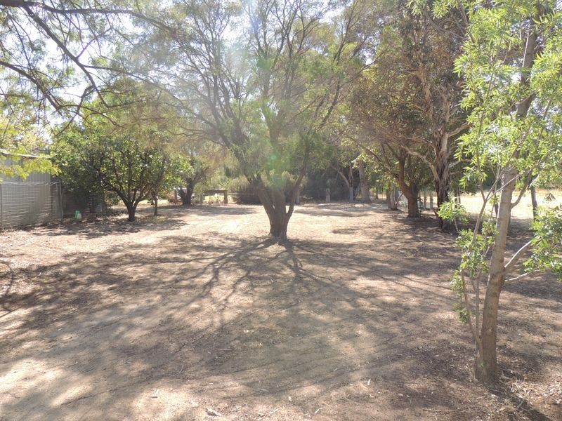 177 Gray Street, Swan Hill VIC 3585