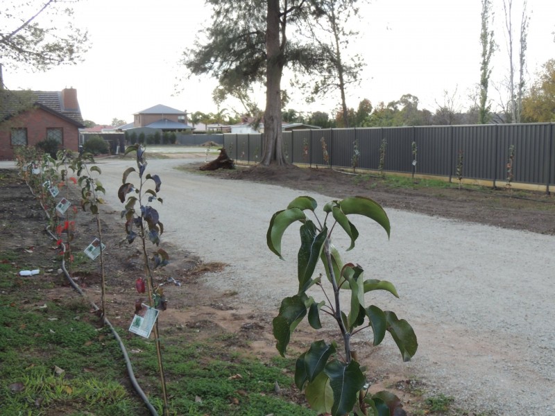 44-50 Werril Street, Swan Hill VIC 3585
