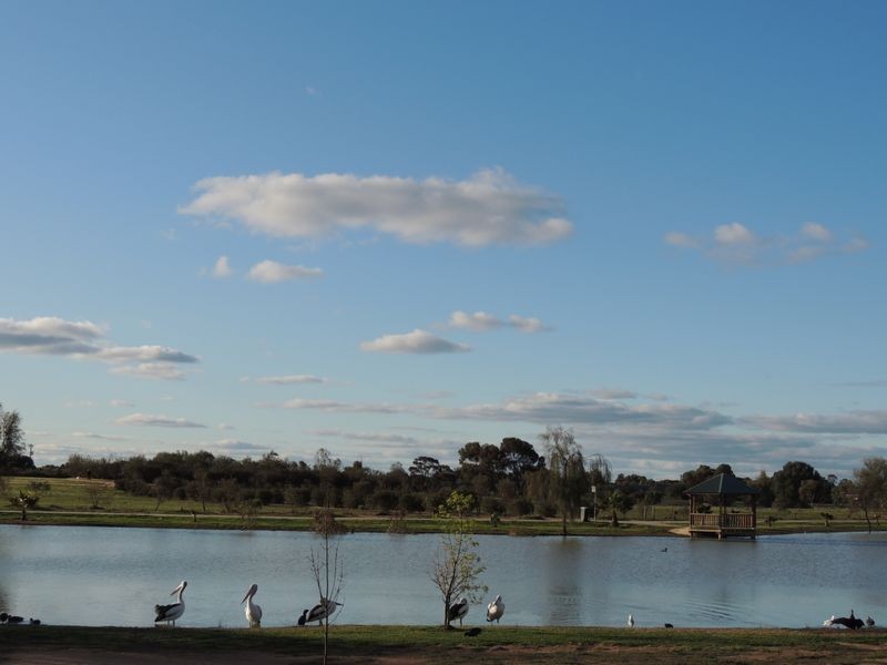 Tower Avenue, Swan Hill VIC 3585