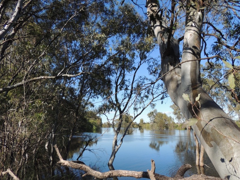 20 Whitlock Lane, Pental Island, Swan Hill VIC 3585