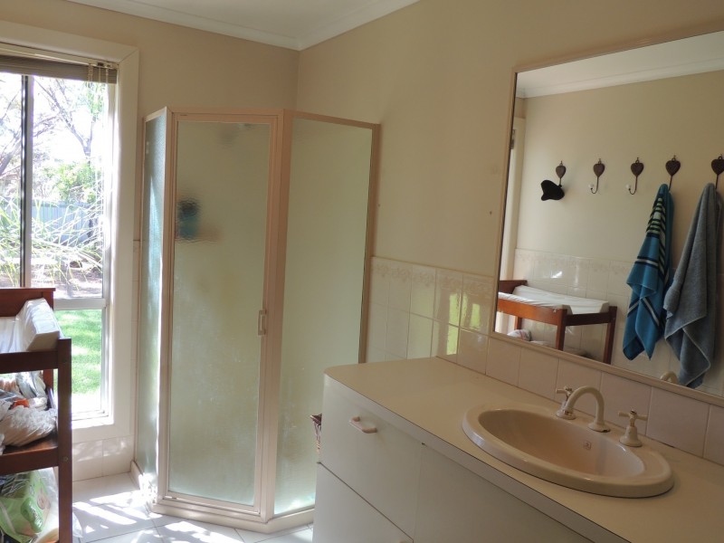 100 Donald Street, Nyah West VIC 3595