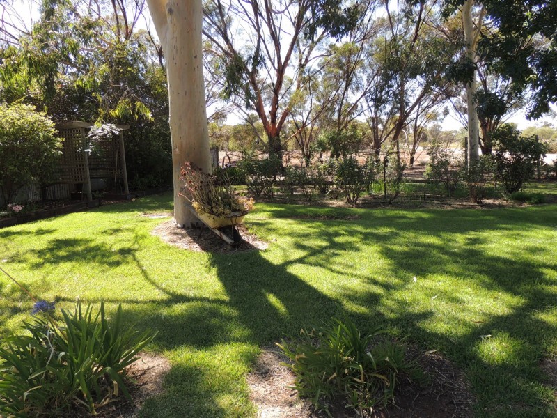 100 Donald Street, Nyah West VIC 3595