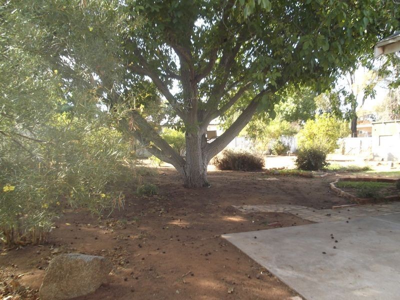 17 Albert Street, Swan Hill VIC 3585