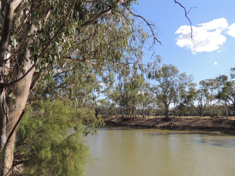 38 Murray Street, Tooleybuc NSW 2736