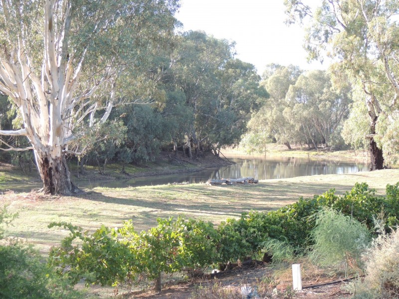 13 River Oaks Drive, Swan Hill VIC 3585