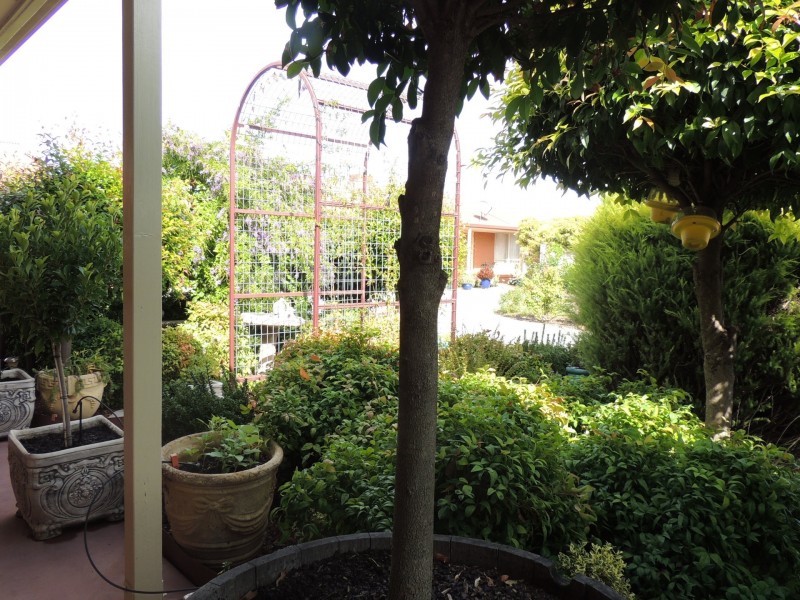 4/59 Wattie Street, Swan Hill VIC 3585