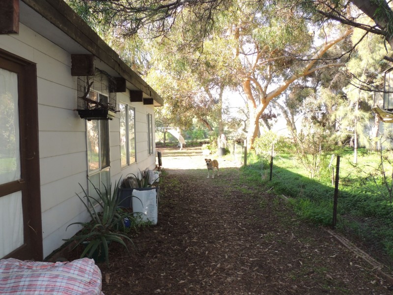 541 Lakeside Drive, Lake Boga VIC 3584