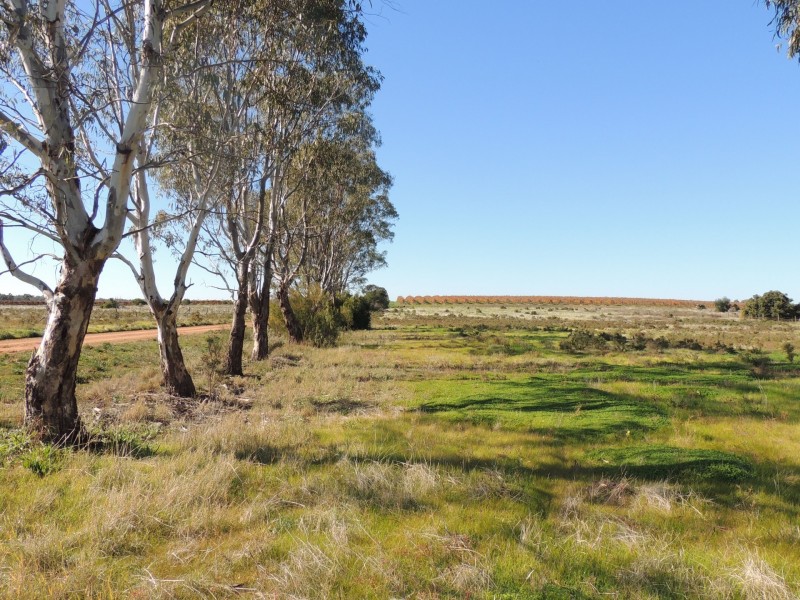 Lot 6 & 7 Koraleigh Road, Tooleybuc NSW 2736