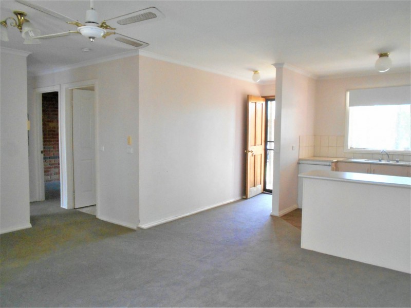 Unit 4/5 Parnee Street, Swan Hill VIC 3585