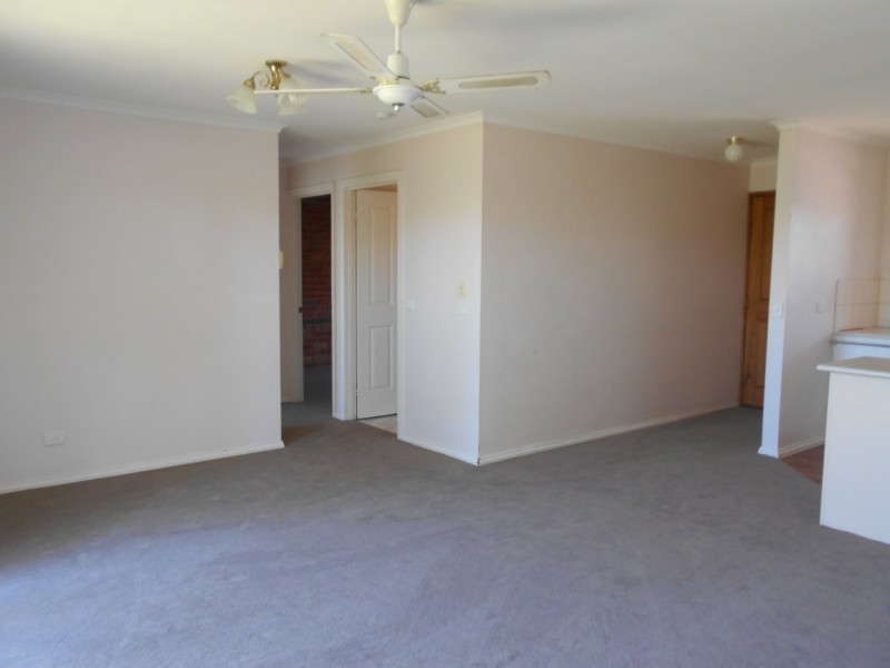 Unit 4/5 Parnee Street, Swan Hill VIC 3585