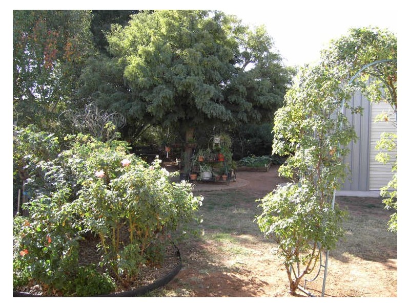 3 Guardian Court, Swan Hill VIC 3585