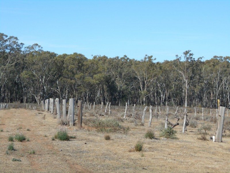 3172 Murray Valley Highway, Nyah VIC 3594