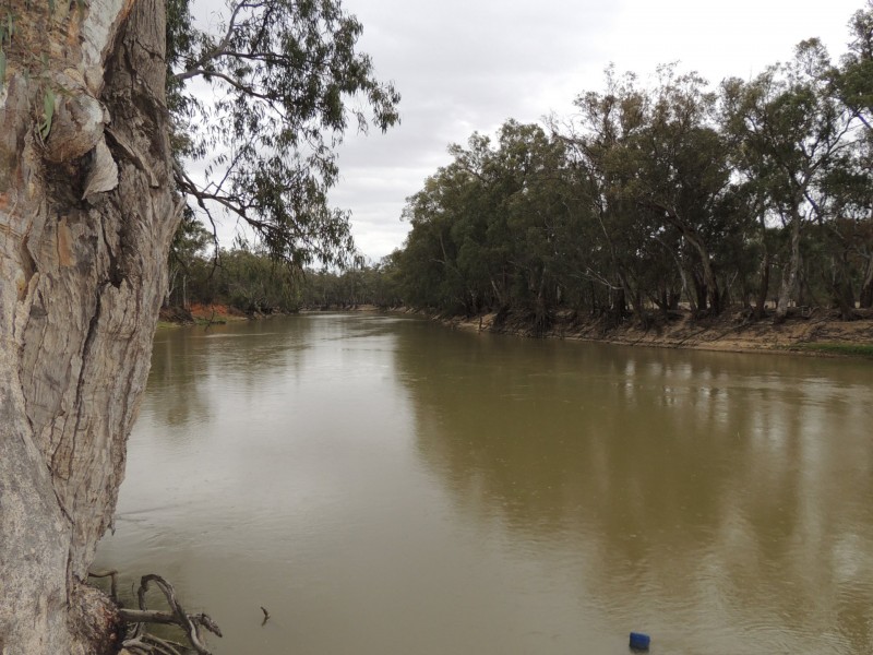 3545 Murray Valley Highway, Wood Wood VIC 3596