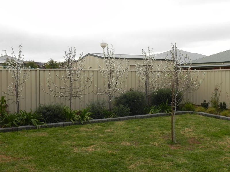 8 Dundas Lane, Swan Hill VIC 3585