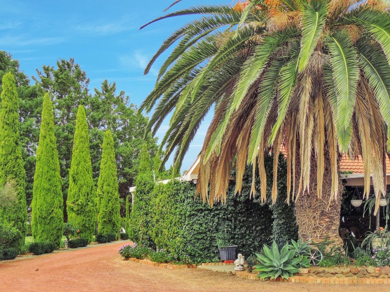 151 Bish Road, Murrawee VIC 3586