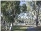 Unit 5/16 Milloo Street, Swan Hill VIC 3585