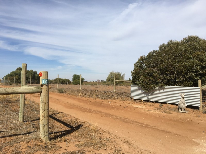 123 Hobson Road, Nyah West VIC 3595