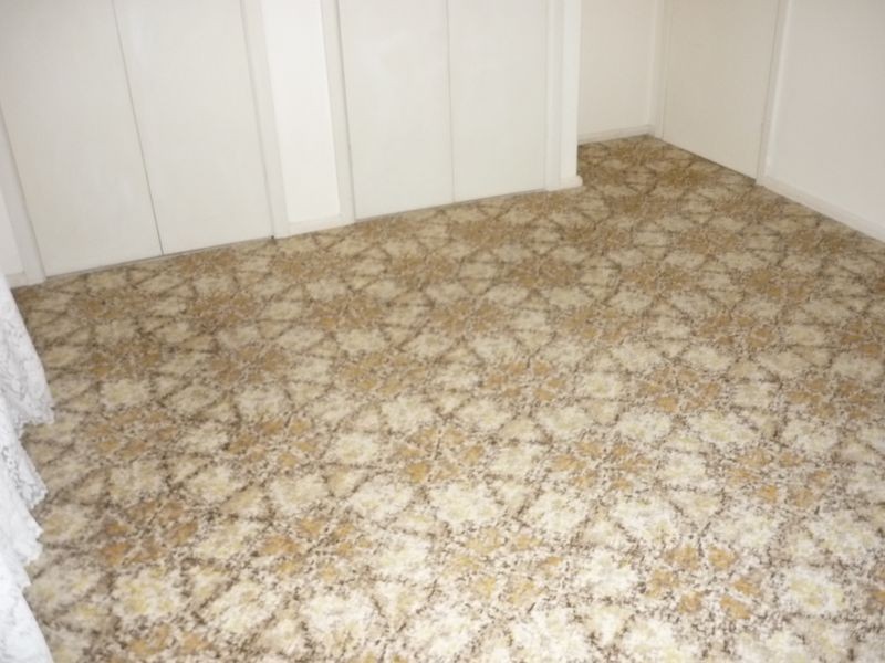 25 Wattie Street, Swan Hill VIC 3585