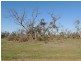 North West Chillingollah Road & Pompy Lane, Woorinen North VIC 3589