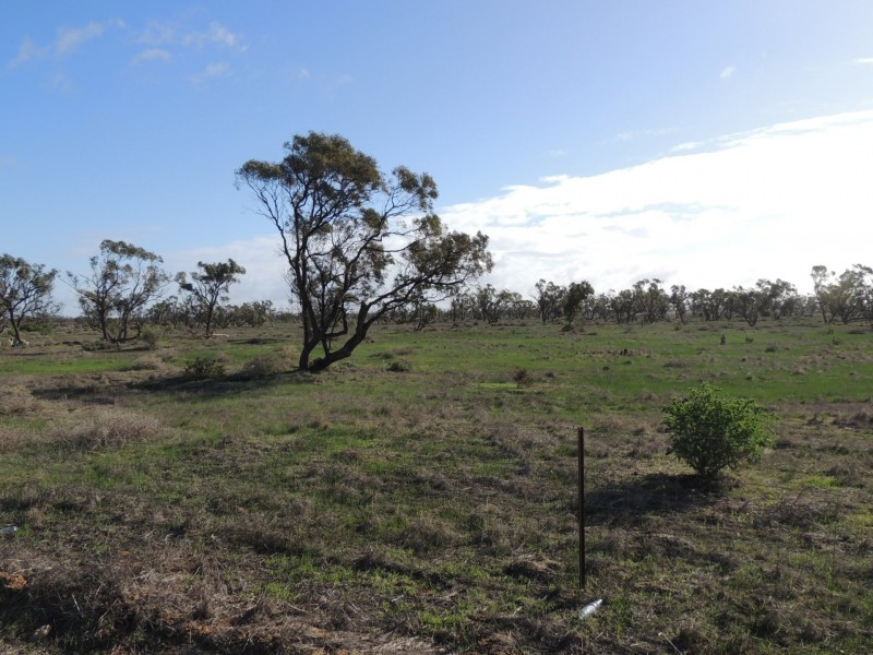 North West Chillingollah Road & Pompy Lane, Woorinen North VIC 3589