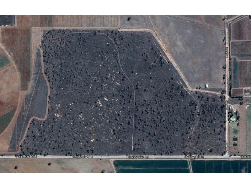 North West Chillingollah Road & Pompy Lane, Woorinen North VIC 3589