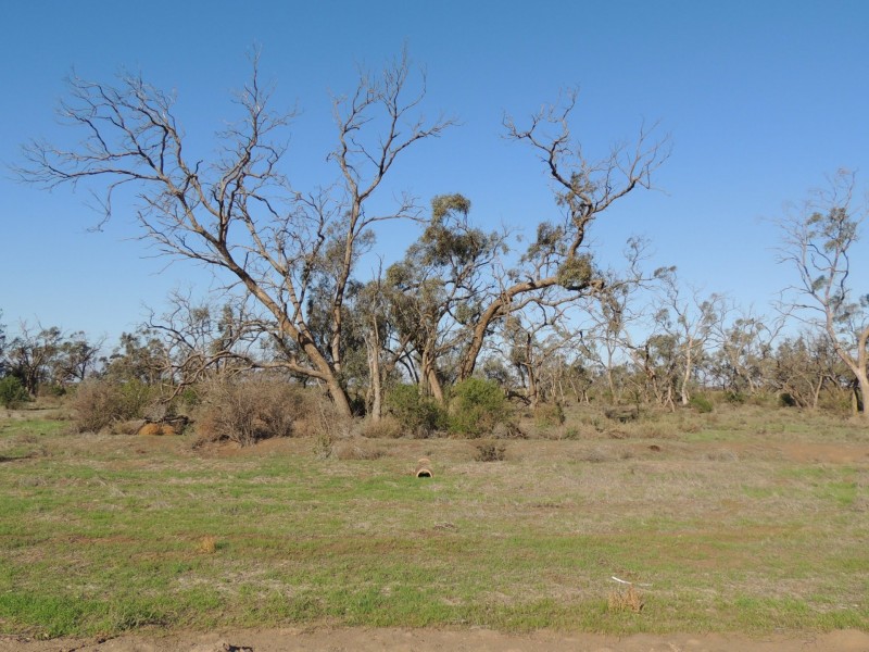 North West Chillingollah Road & Pompy Lane, Woorinen North VIC 3589