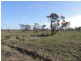 North West Chillingollah Road & Pompy Lane, Woorinen North VIC 3589