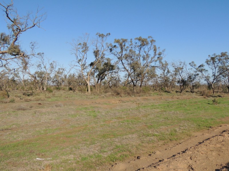 North West Chillingollah Road & Pompy Lane, Woorinen North VIC 3589