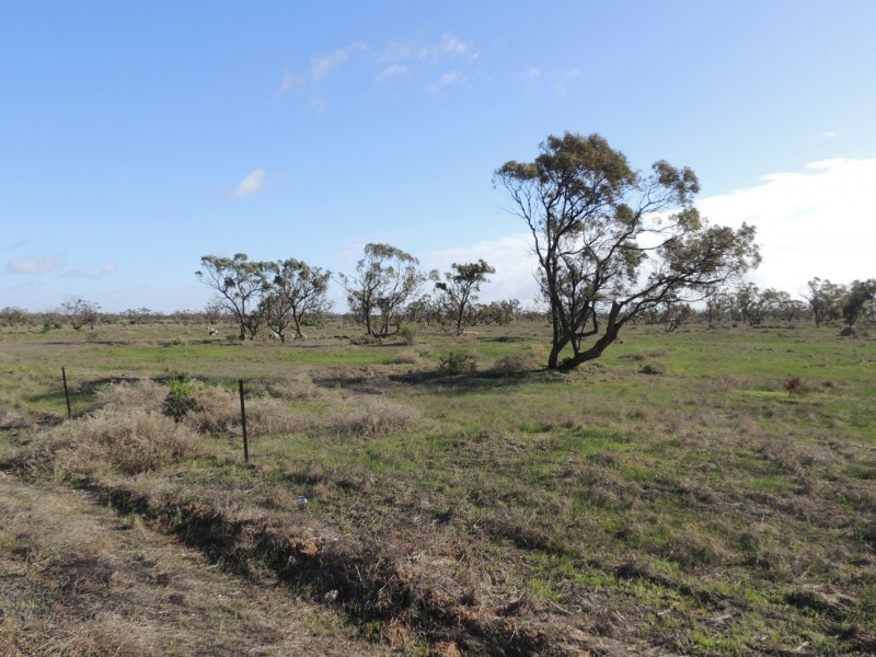 North West Chillingollah Road & Pompy Lane, Woorinen North VIC 3589