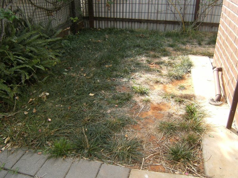 3/41 Splatt Street, Swan Hill VIC 3585