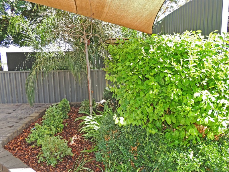 803 Murray Valley Highway, Swan Hill VIC 3585