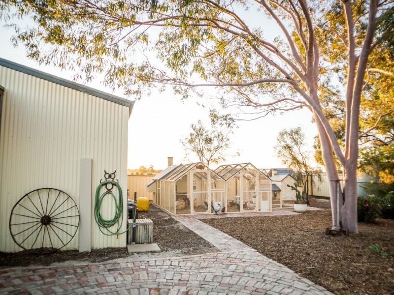 41 Prince Road, Swan Hill VIC 3585