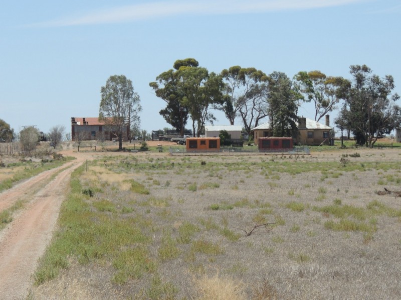 127 Louttits Lane, Koraleigh NSW 2735