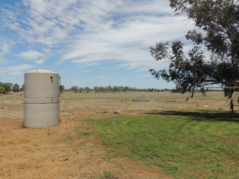 127 Louttits Lane, Koraleigh NSW 2735