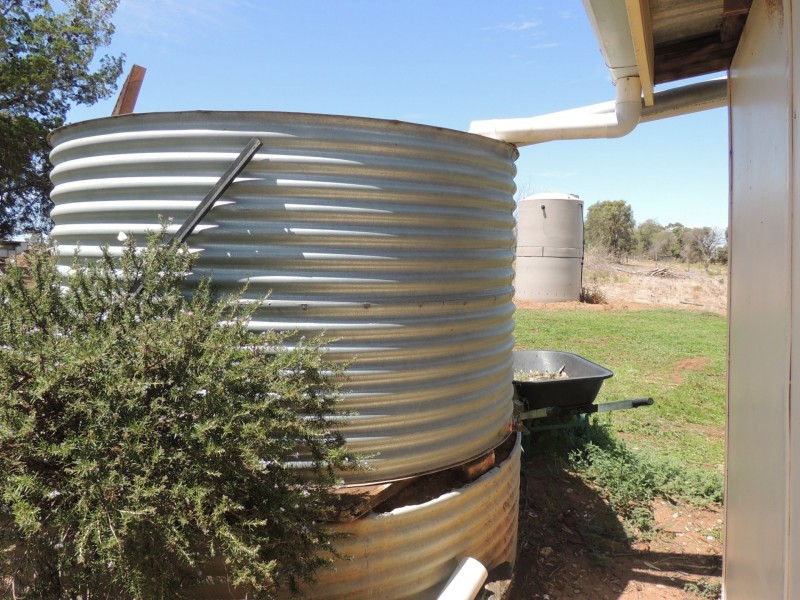 127 Louttits Lane, Koraleigh NSW 2735