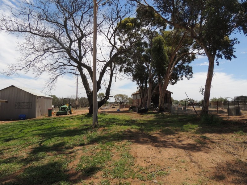 127 Louttits Lane, Koraleigh NSW 2735