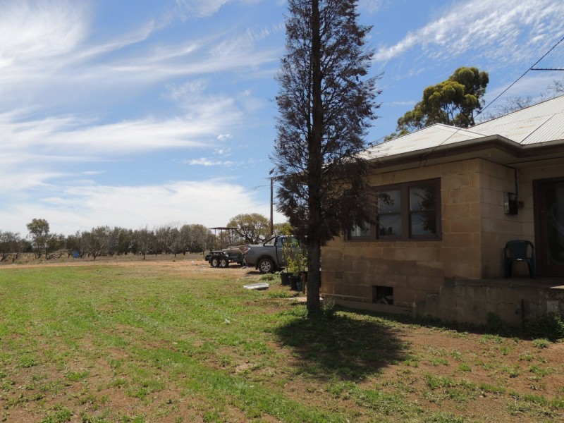 127 Louttits Lane, Koraleigh NSW 2735