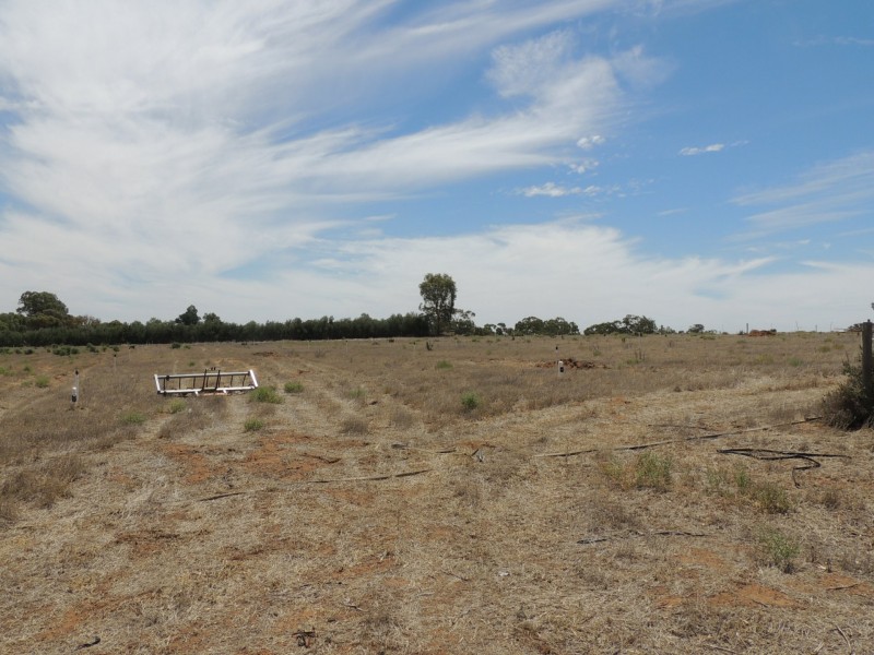 127 Louttits Lane, Koraleigh NSW 2735