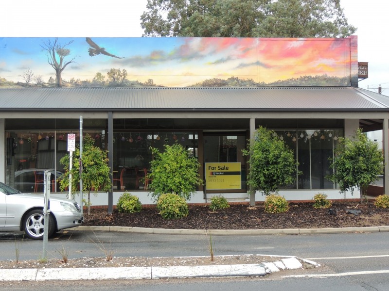 54 Best Street, Sea Lake VIC 3533