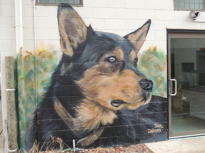 54 Best Street, Sea Lake VIC 3533