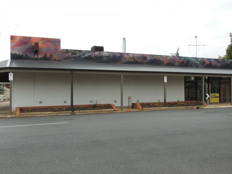 54 Best Street, Sea Lake VIC 3533