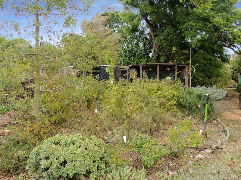 43 Allan Street, Nyah West VIC 3595