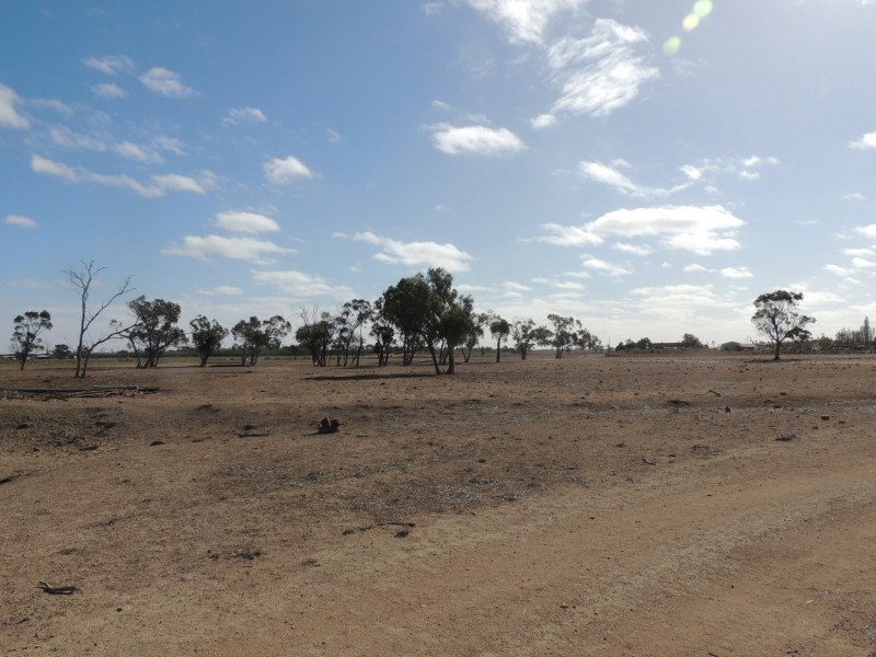 99 Glover Road, Woorinen North VIC 3589