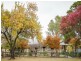354 Beveridge Street, Swan Hill VIC 3585