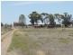 127 Louttits Lane, Koraleigh NSW 2735