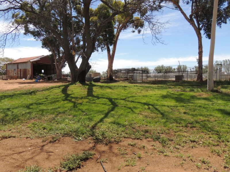 127 Louttits Lane, Koraleigh NSW 2735