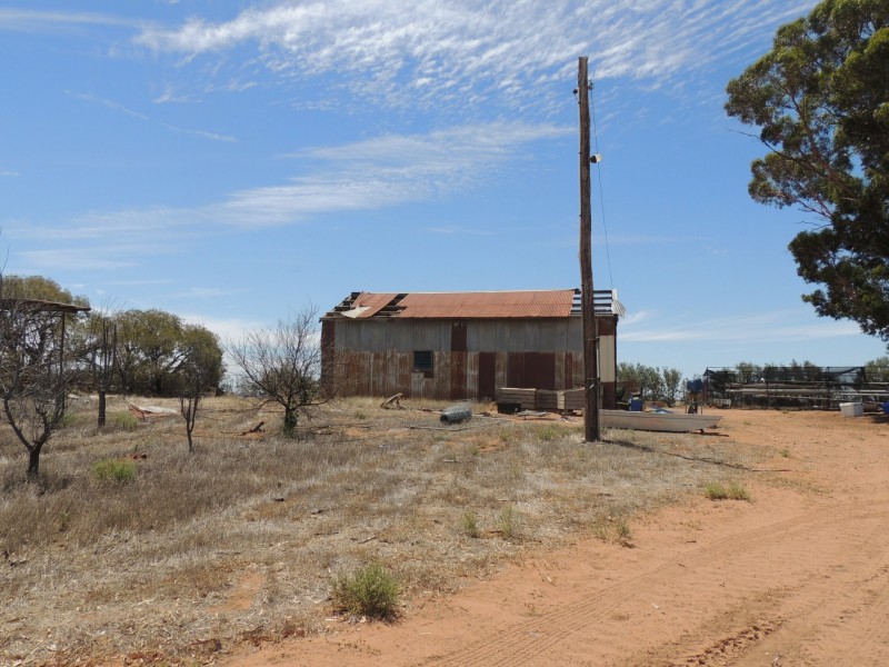 127 Louttits Lane, Koraleigh NSW 2735